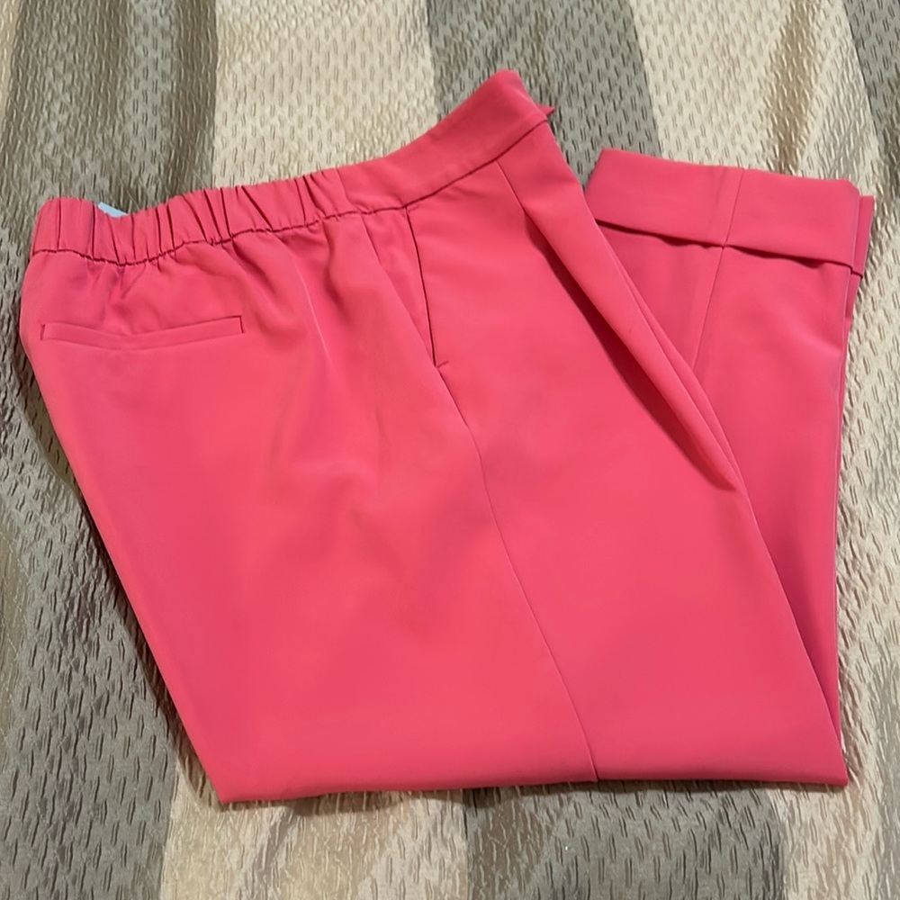 Loft Pink Pants